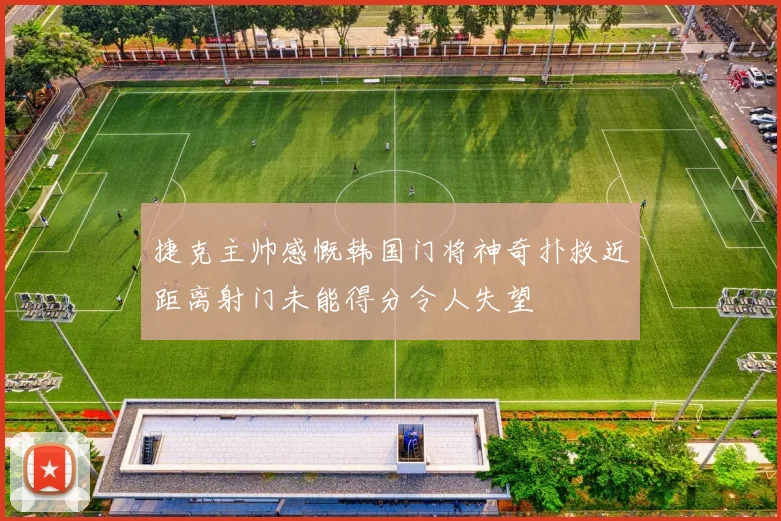 捷克主帅感慨韩国门将神奇扑救近距离射门未能得分令人失望