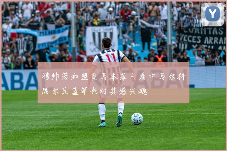 穆帅若加盟皇马本菲卡看中马尔科席尔瓦蓝军也对其感兴趣