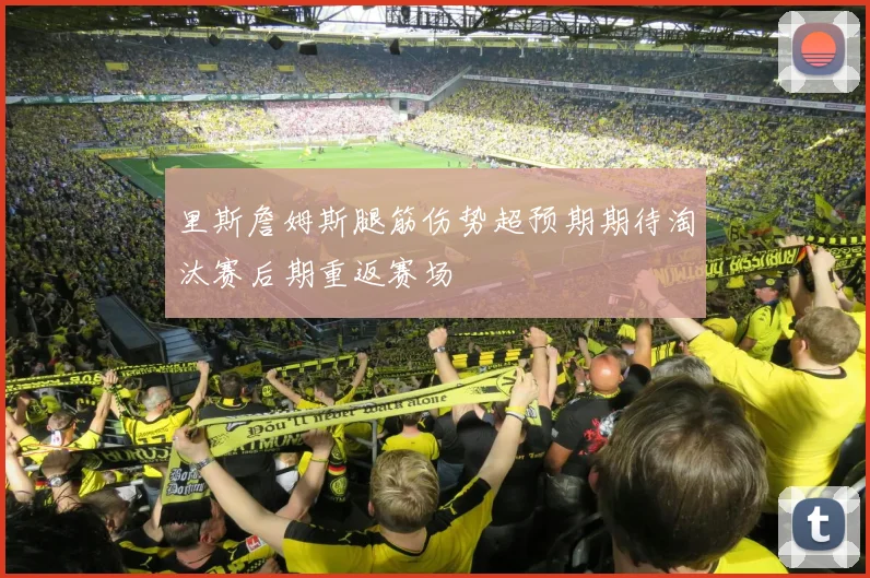 里斯詹姆斯腿筋伤势超预期期待淘汰赛后期重返赛场